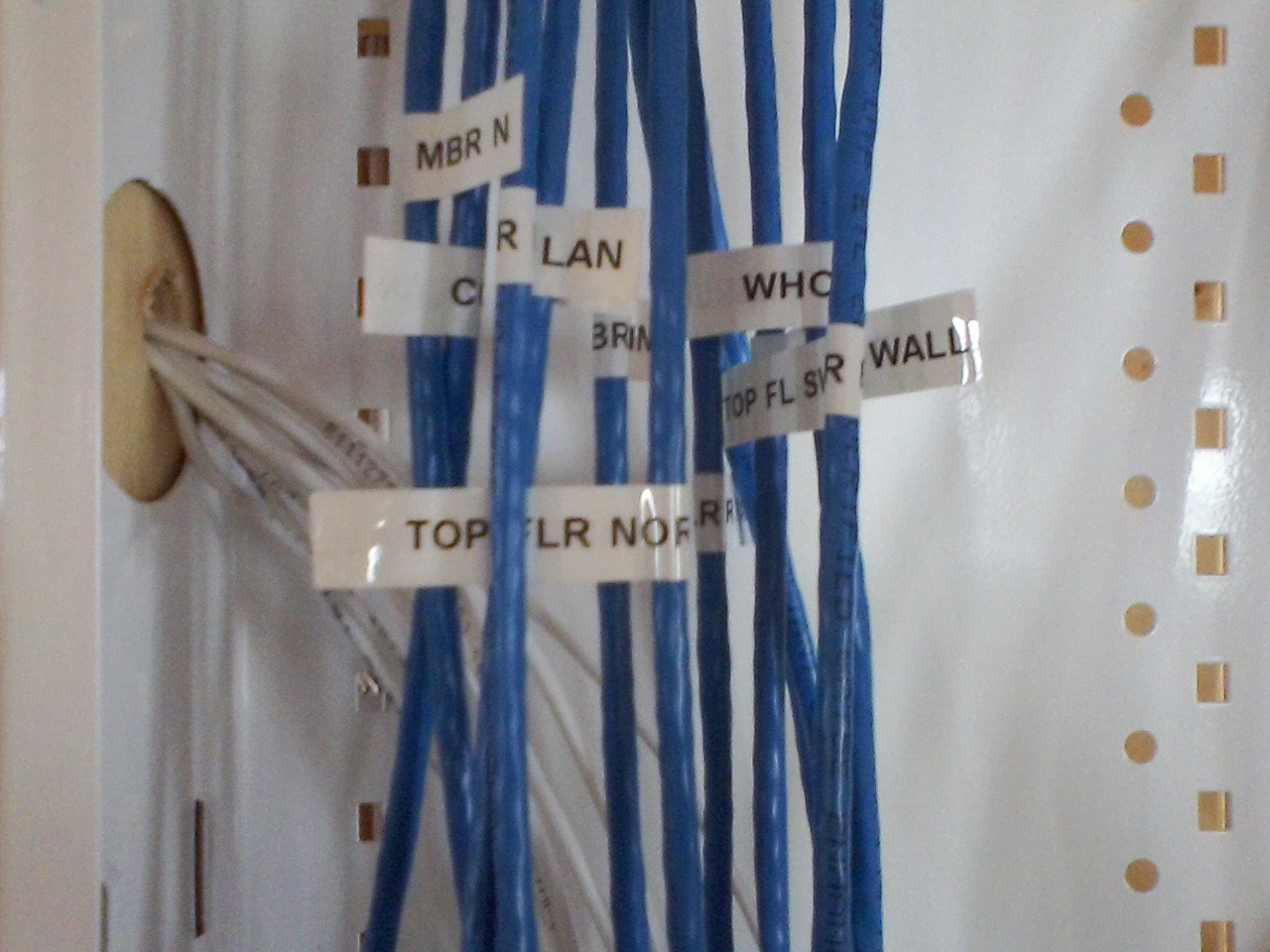 Labeled Cat-5 wiring inside a cable distribution enclosure